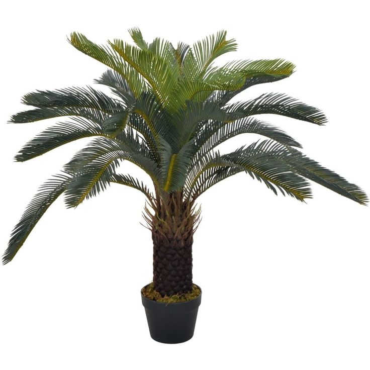 Tekokasvi japaninkäpypalmu ruukulla vihreä 90 cm_1