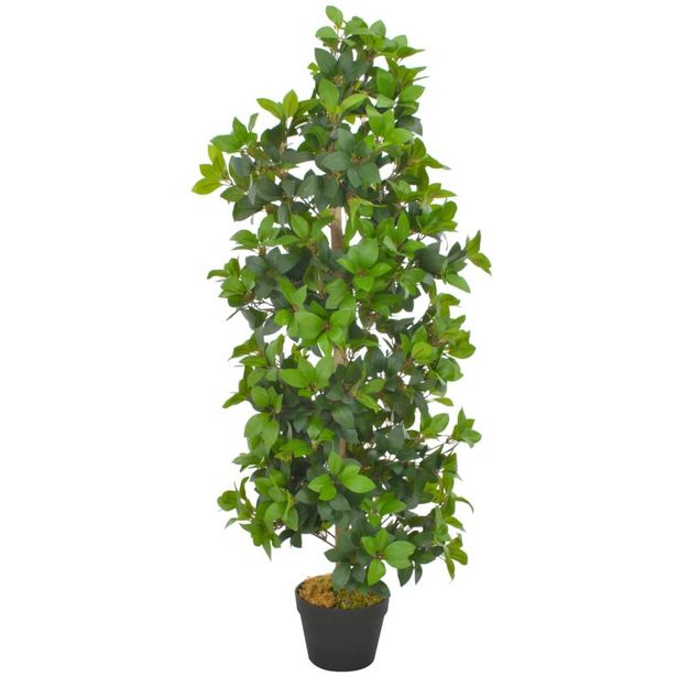Tekokasvi laakeripuu ruukulla vihreä 120 cm_1