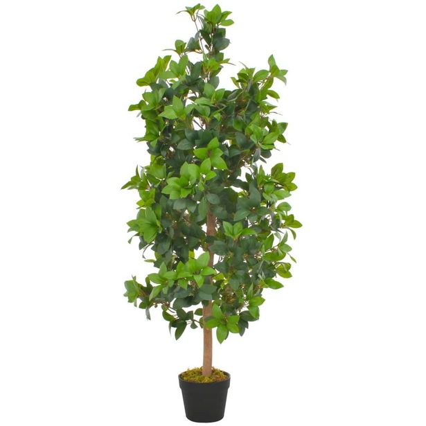 Tekokasvi laakeripuu ruukulla vihreä 120cm_1