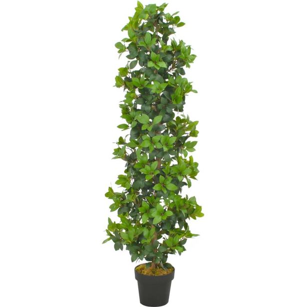Tekokasvi laakeripuu ruukulla vihreä 150 cm_1