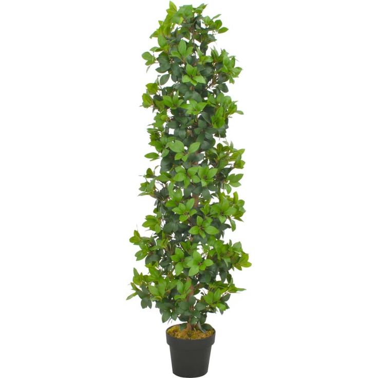 Tekokasvi laakeripuu ruukulla vihreä 150 cm_1