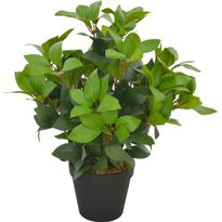 Tekokasvi laakeripuu ruukulla vihreä 40 cm