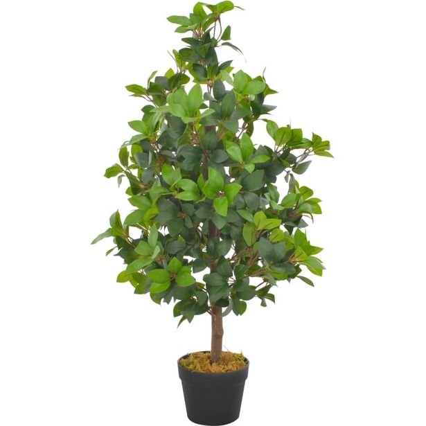 Tekokasvi laakeripuu ruukulla vihreä 90 cm_1
