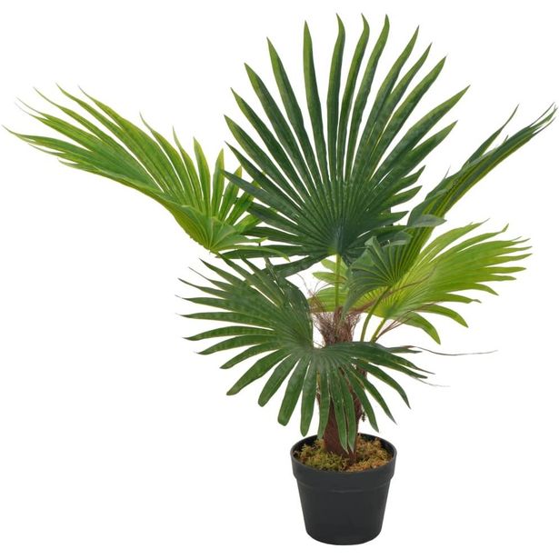 Tekokasvi palmu ruukulla vihreä 70 cm_1