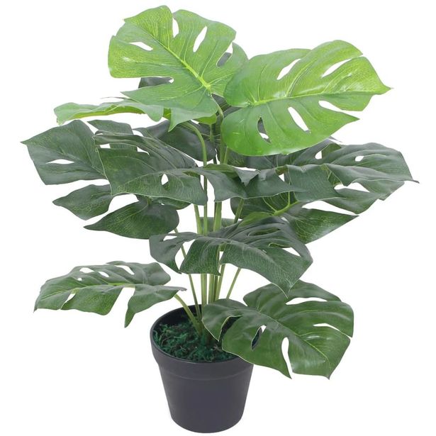Tekokasvi ruukulla jättipeikonlehti 45 cm vihreä_1