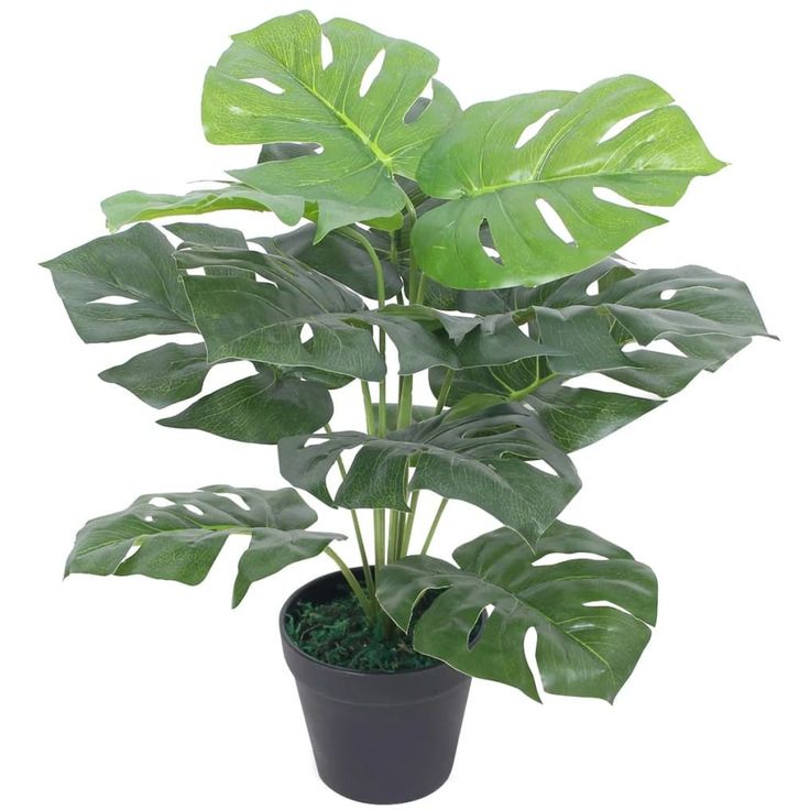 Tekokasvi ruukulla jättipeikonlehti 45 cm vihreä_1