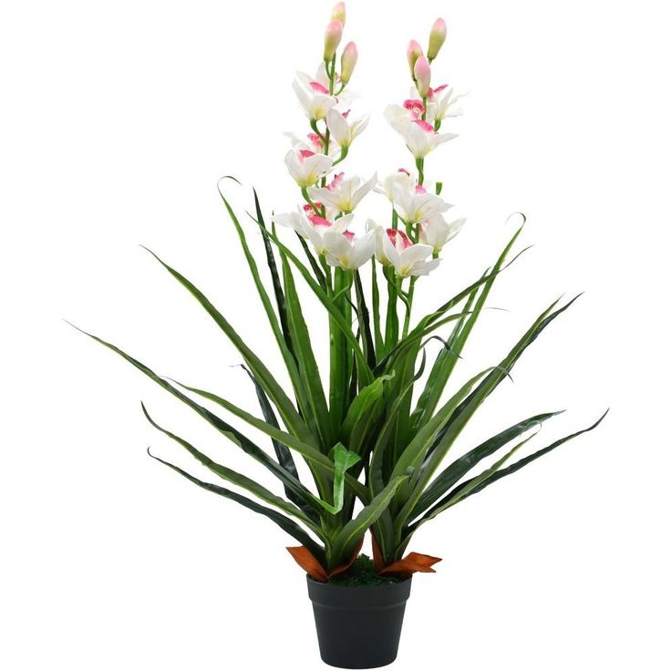 Tekokasvi ruukulla kymbidi (orkidea) 100 cm vihreä_1