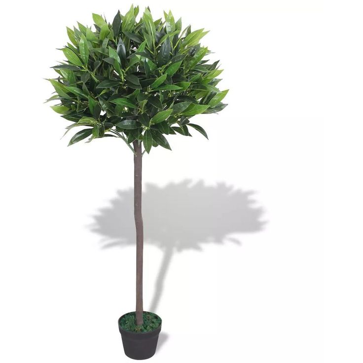 Tekokasvi ruukulla laakeripuu 125 cm vihreä_1