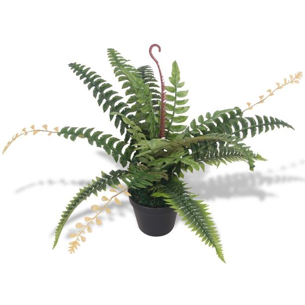 Tekokasvi ruukulla saniainen 50 cm vihreä_1