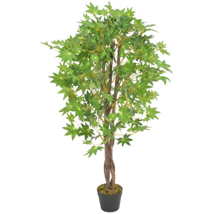 Tekokasvi vaahtera ruukulla vihreä 120 cm_1