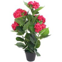 Tekokukka ruukulla hortensia 60 cm punainen