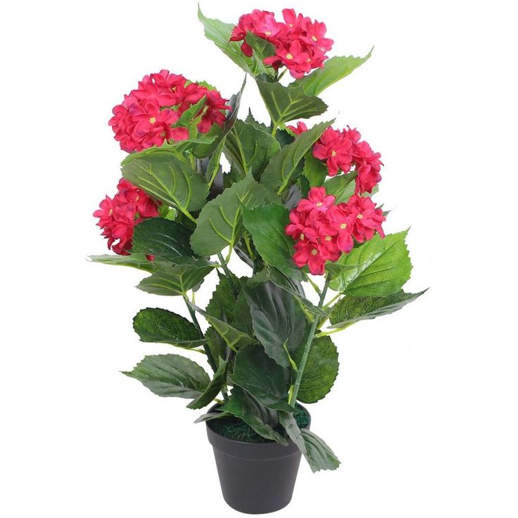 Tekokukka ruukulla hortensia 60 cm punainen_1