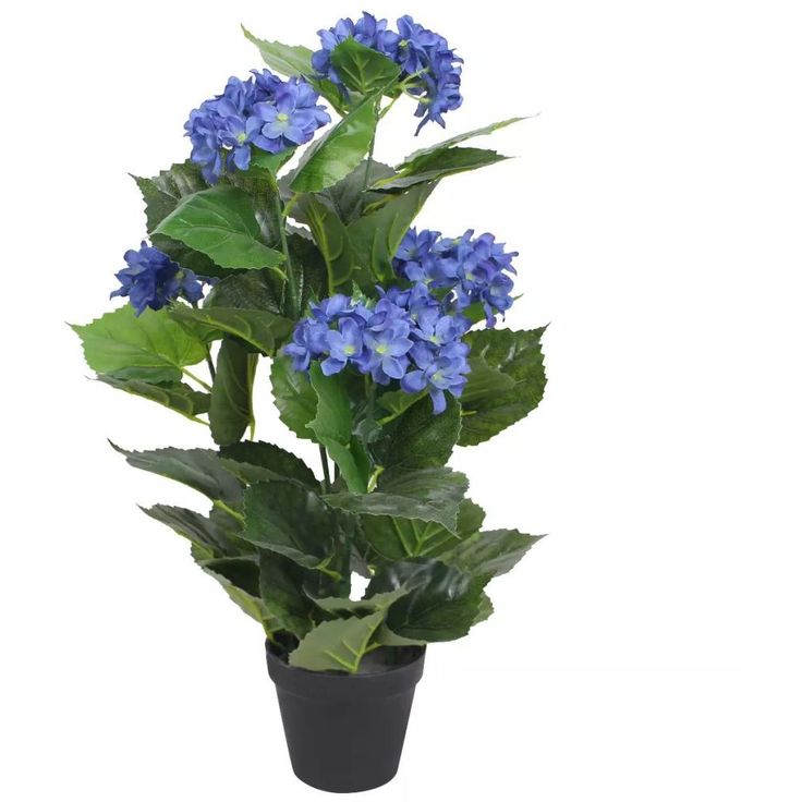 Tekokukka ruukulla hortensia 60 cm sininen_1