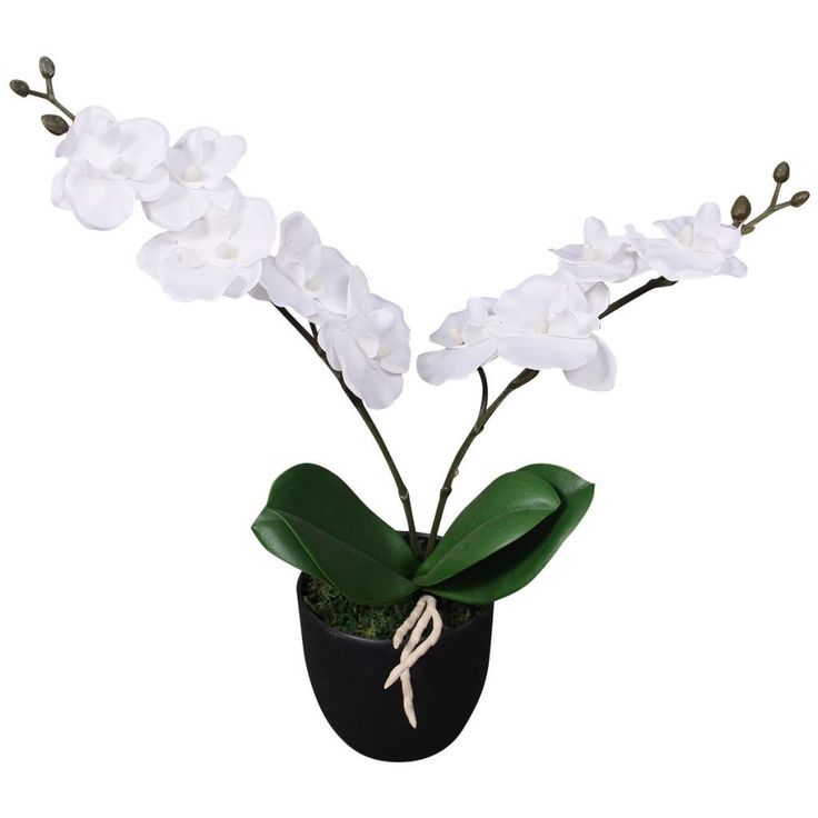 Tekokukka ruukulla orkidea 30 cm valkoinen_1