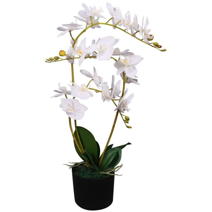 Tekokukka ruukulla orkidea 65 cm valkoinen_1