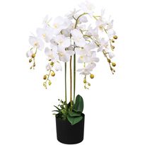 Tekokukka ruukulla orkidea 75 cm valkoinen
