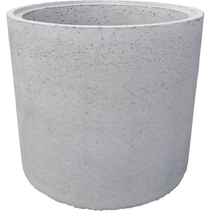 Kaivonrengas