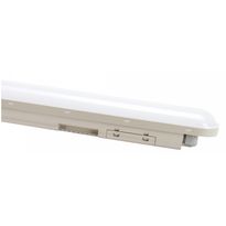 Teollisuusvalaisin Spectrum Limea Connect tiivistetty 120° IP65 IK08 harmaa, eri vaihtoehtoja