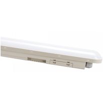 Teollisuusvalaisin Spectrum Limea Connect tiivistetty 1200mm 50W 4000K 120° IP65 IK08 harmaa