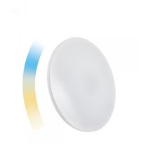 Älyplafondi Spectrum Nymphea Ø390x70mm 24W CCT+DIM WI-FI/BT IP20 3000-6000K kattoon