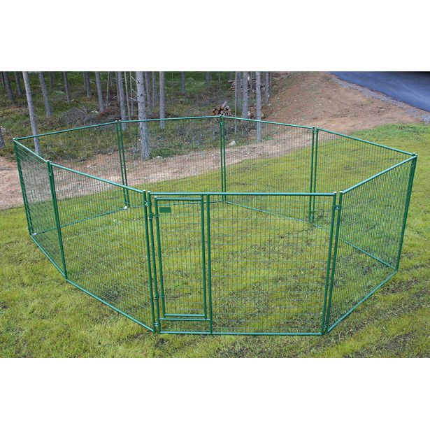 Koiratarha Jämpti Pro MEDI 1+9 elementtiä, 4x6m, eri värejä