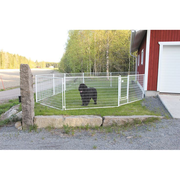 Koiratarha Jämpti Pro MINI 1+7 elementtiä, 4x4m, eri värejä