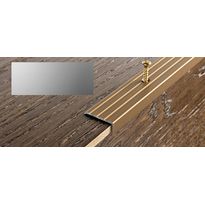 Porraskulmalista Progress Profiles Prowalk, 2,7m, 25mm, 20mm, ruuvikiinnitettävä, anodisoitu hopea
