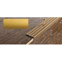 Porraskulmalista Progress Profiles Prowalk, 2,7m, 25mm, 20mm, ruuvikiinnitettävä, anodisoitu kulta