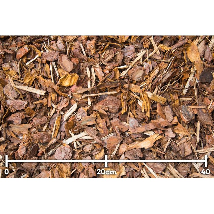 Männyn kuorikate Woodpeckers, 15-50mm, 1,8m3
