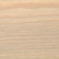 Käsittelemätön puu