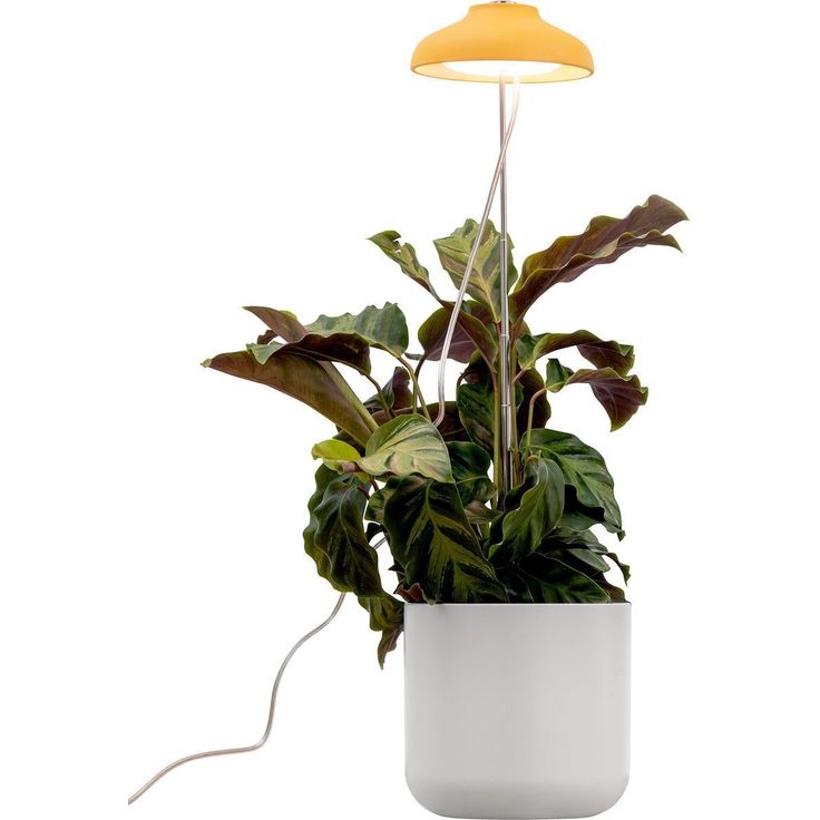 Kasvivalaisin Airam Iris, 5W, 240lm, IP20