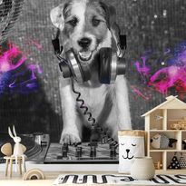 Kuvatapetti Artgeist DJ Dog, eri vaihtoehtoja