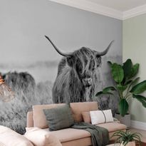 Kuvatapetti Artgeist Highland Cattle, eri vaihtoehtoja