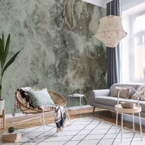 Kuvatapetti Artgeist Juicy Moss, eri vaihtoehtoja