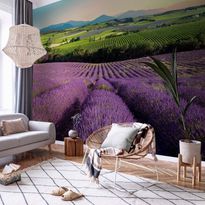 Kuvatapetti Artgeist Lavender Field, eri vaihtoehtoja