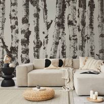 Kuvatapetti Artgeist Stately Birches - First Variant, eri vaihtoehtoja