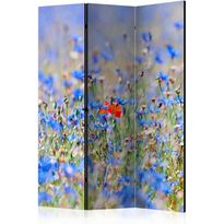 Sermi Artgeist A sky-colored meadow - cornflowers, eri vaihtoehtoja