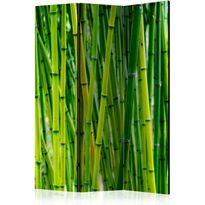 Sermi Artgeist Bamboo Forest, eri vaihtoehtoja