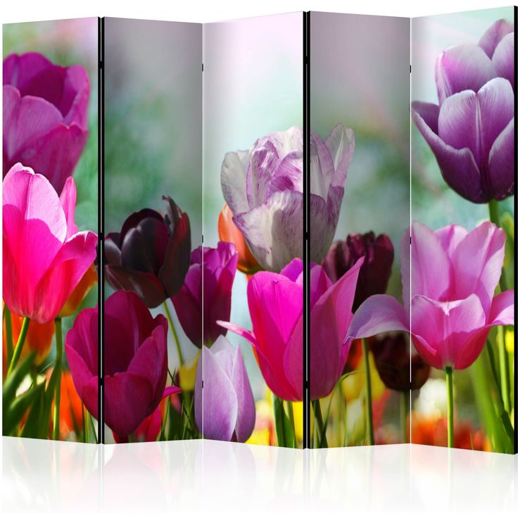CONFIGURABLE PÄÄTUOTE - Sermi - Beautiful Tulips II 61047