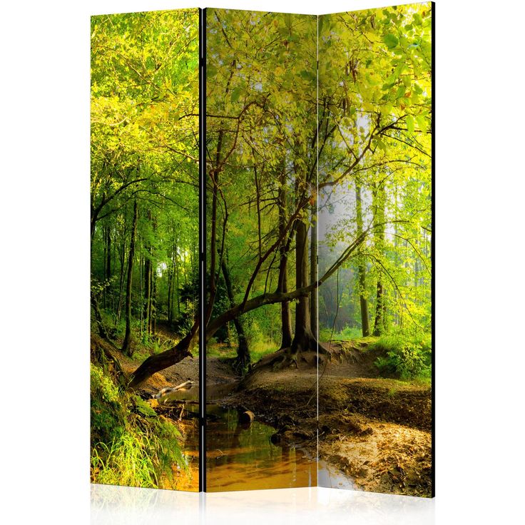 CONFIGURABLE PÄÄTUOTE - Sermi - Forest Clearing 36861