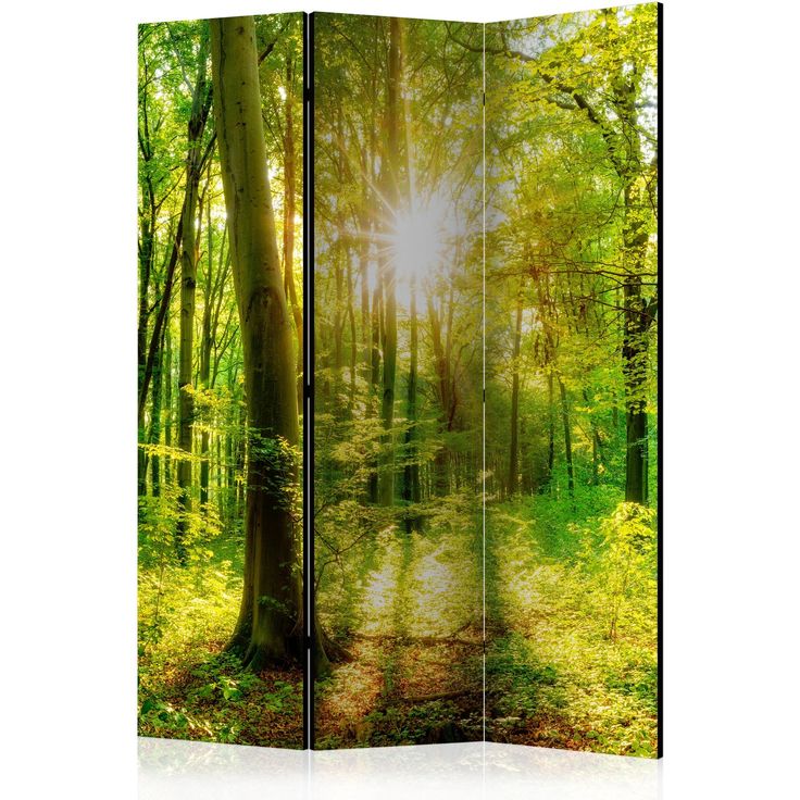 CONFIGURABLE PÄÄTUOTE - Sermi - Forest Rays 91518