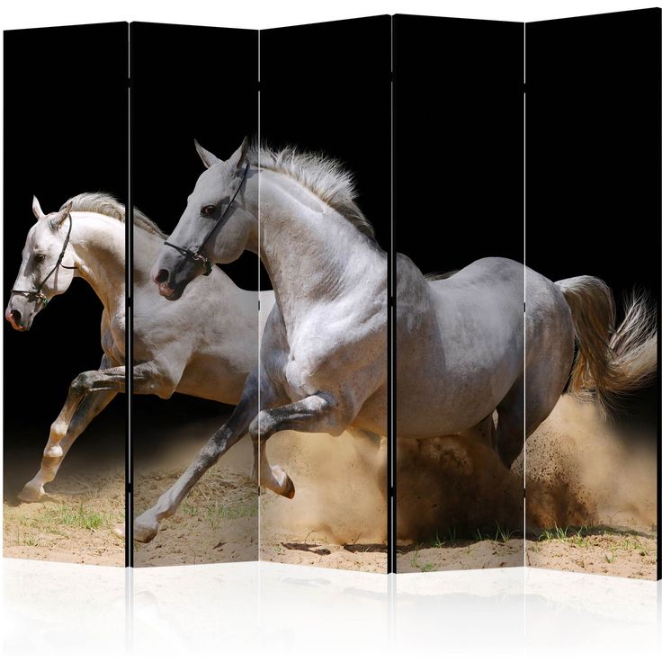 CONFIGURABLE PÄÄTUOTE - Sermi - Galloping horses on the sand II 80048