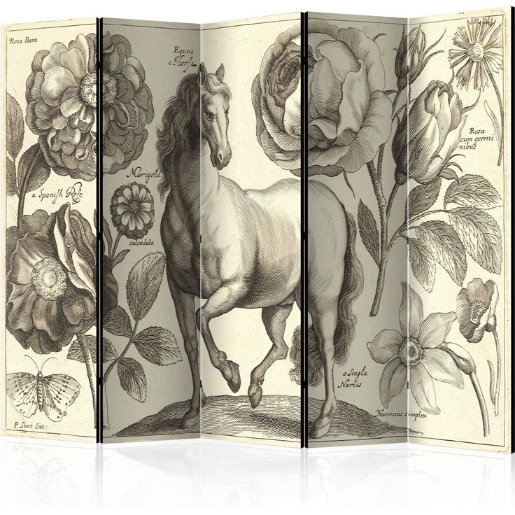 CONFIGURABLE PÄÄTUOTE - Sermi - Horse II 63457