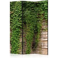 Sermi Artgeist Ivy wall, eri vaihtoehtoja