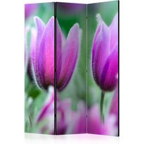 Sermi Artgeist Purple spring tulips, eri vaihtoehtoja