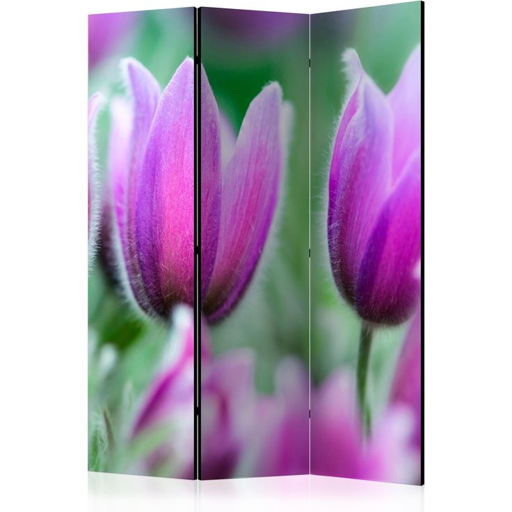 CONFIGURABLE PÄÄTUOTE - Sermi - Purple spring tulips 91495