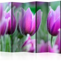 Sermi Artgeist Purple spring tulips II, eri vaihtoehtoja