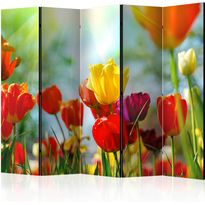 Sermi Artgeist Spring Tulips II, eri vaihtoehtoja