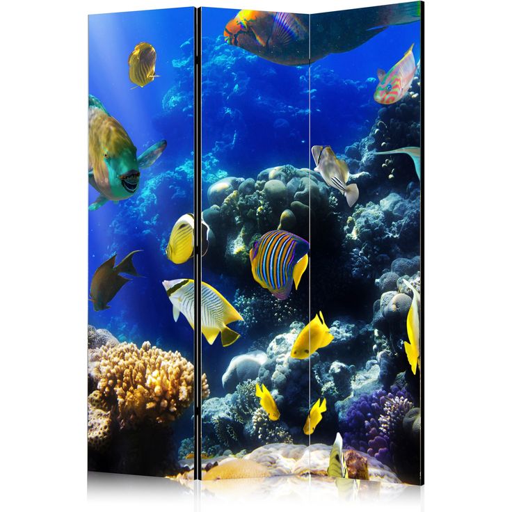 CONFIGURABLE PÄÄTUOTE - Sermi - Underwater adventure 89690