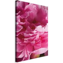 Taulu Artgeist Blossom of Beauty (1-part) - Pink Peony Flower Embraced by Nature, eri vaihtoehtoja
